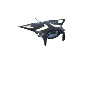 Manta Stingray_L_Swim_anim